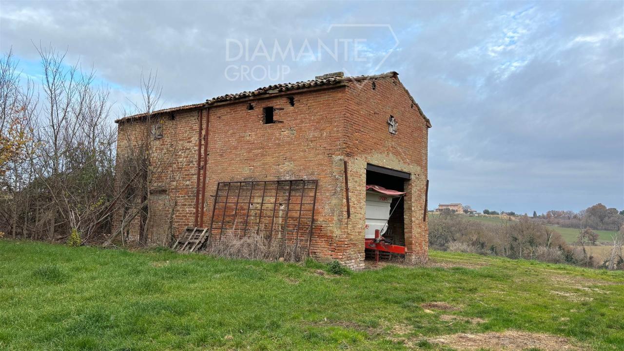 immagine annuncio 3 di 14