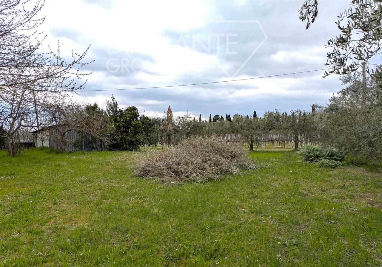 immagine annuncio 7 di 14