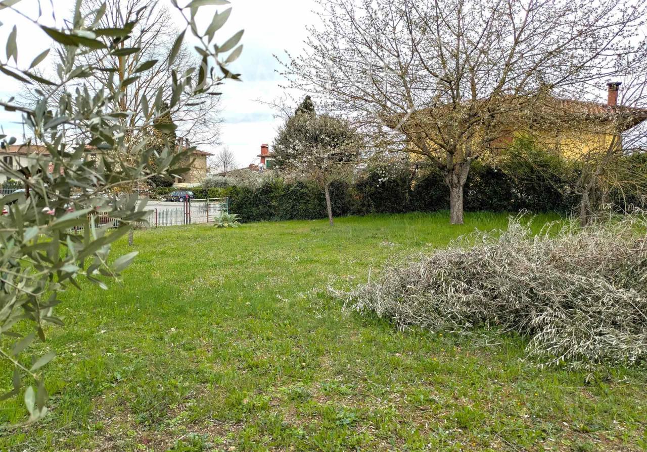 immagine annuncio 1 di 14