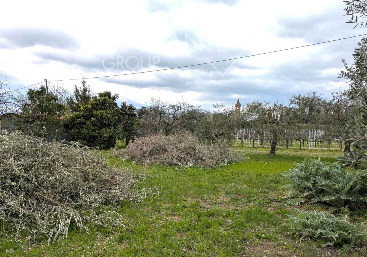 immagine annuncio 6 di 14