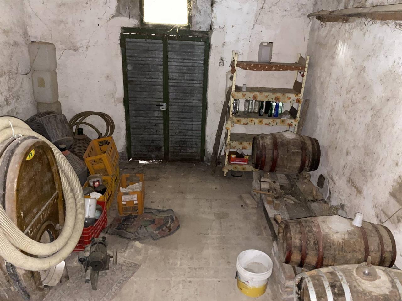 immagine annuncio 3 di 11