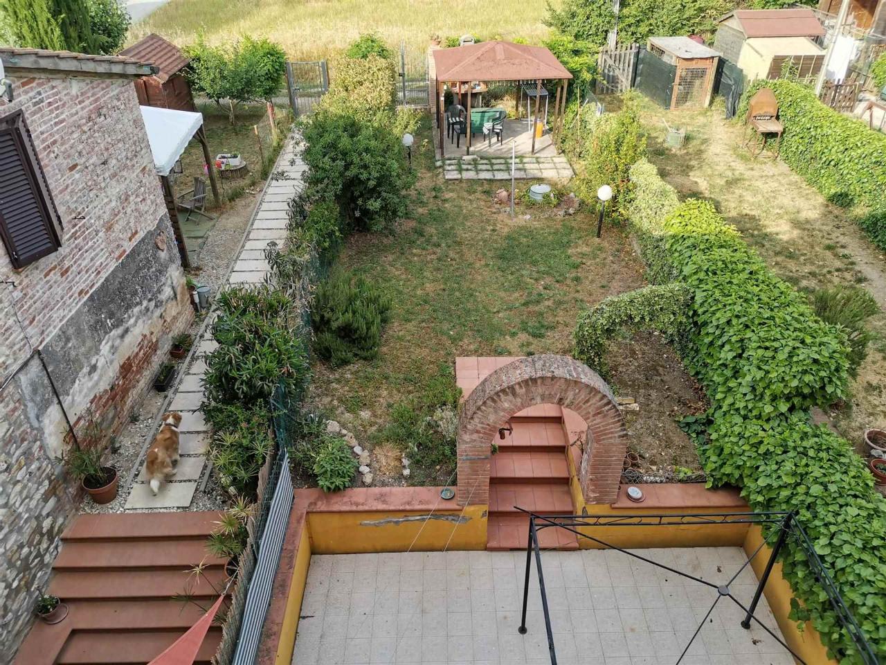 immagine annuncio 9 di 14