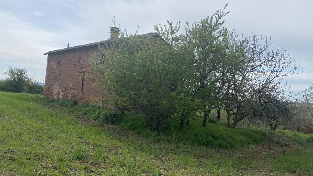 immagine annuncio 7 di 13