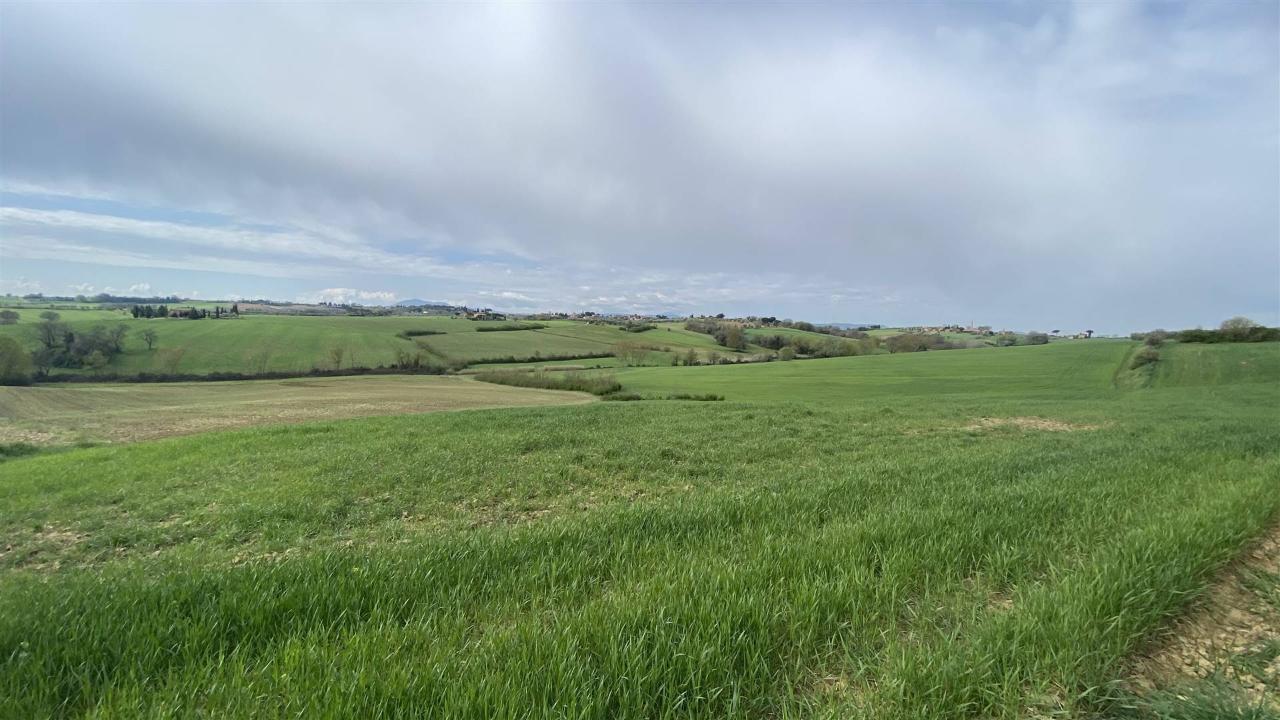 immagine annuncio 6 di 13