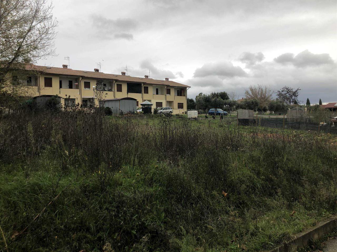 immagine annuncio 4 di 8