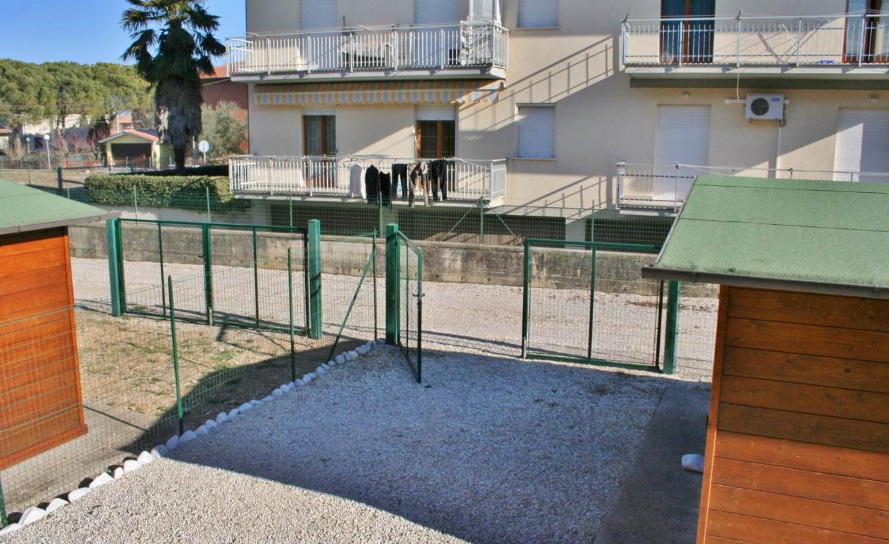 immagine annuncio 14 di 15