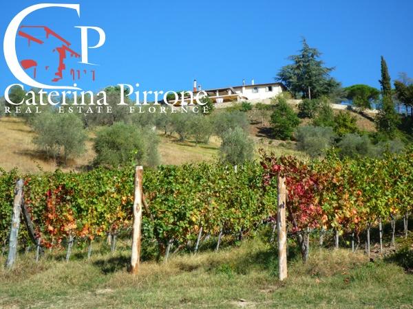 Agriturismo in Via Dicomano Campagna 10, Dicomano, {3} - Foto 2