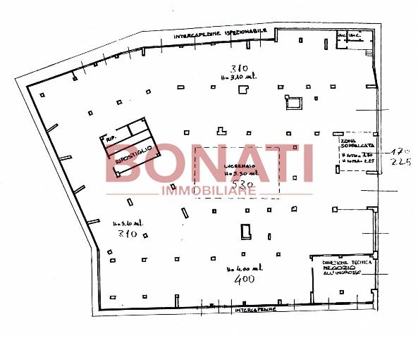 main planimetry real estate image