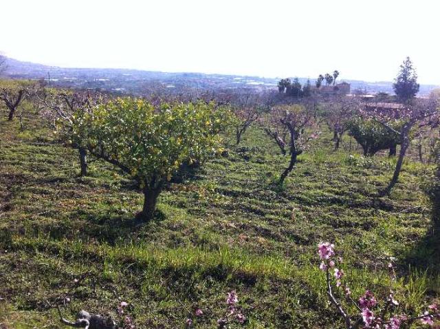 Terreno agricolo, Fiumefreddo di Sicilia - Foto 1