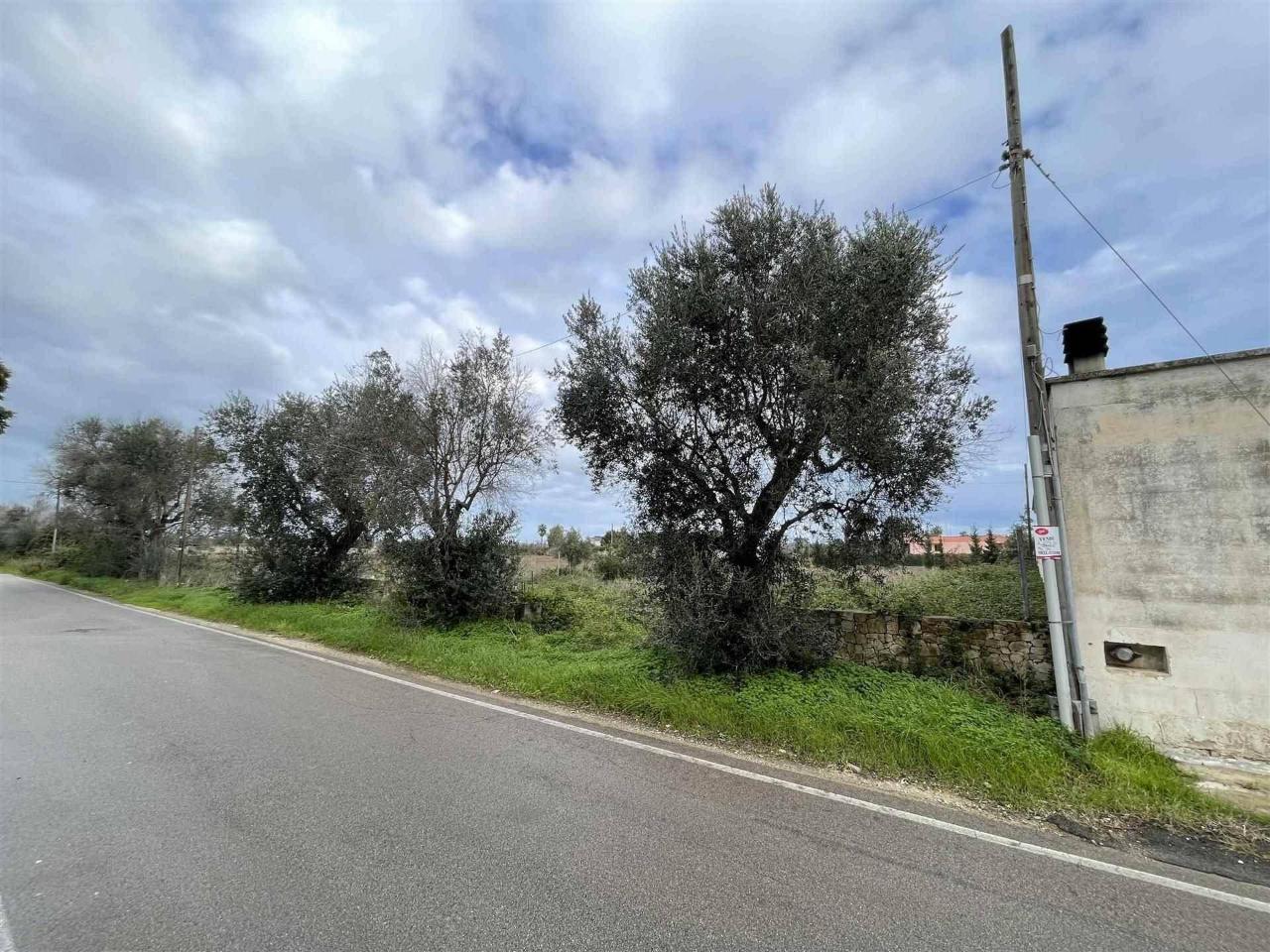 Terreno agricolo in vendita a Lecce