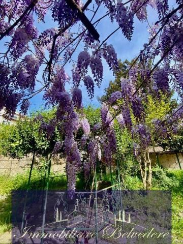 Einfamilienhaus in Via Dino Compagni, Firenze - Foto 1