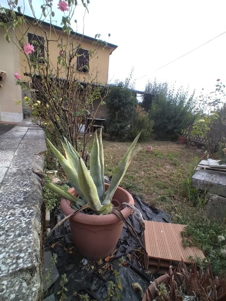 immagine annuncio 6 di 8
