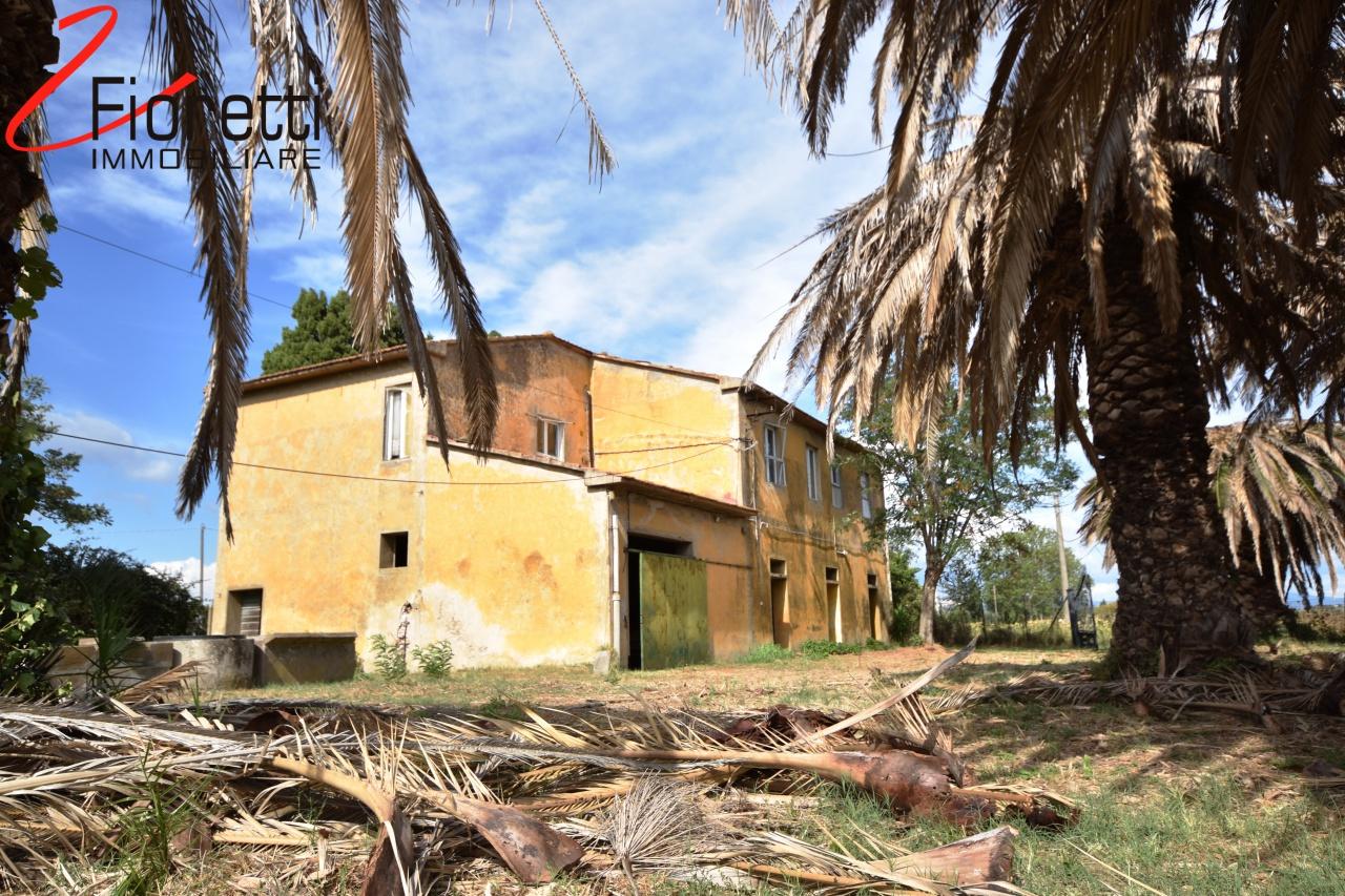 Azienda agricola in , Piombino - Foto 1