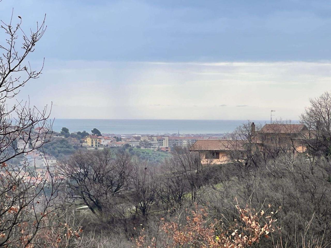 immagine annuncio 6 di 14