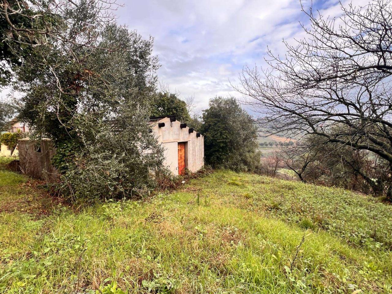 immagine annuncio 11 di 14