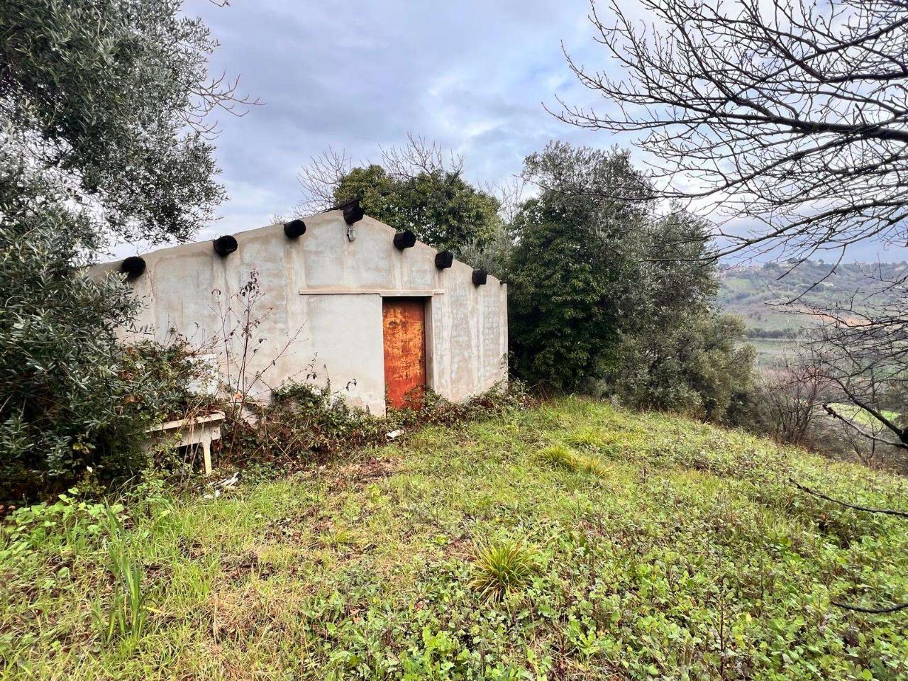 immagine annuncio 1 di 14