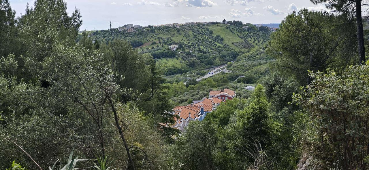 immagine annuncio 1 di 14