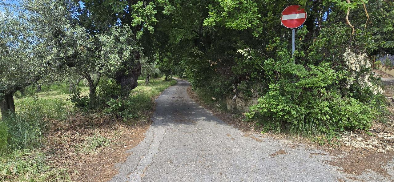 immagine annuncio 10 di 14