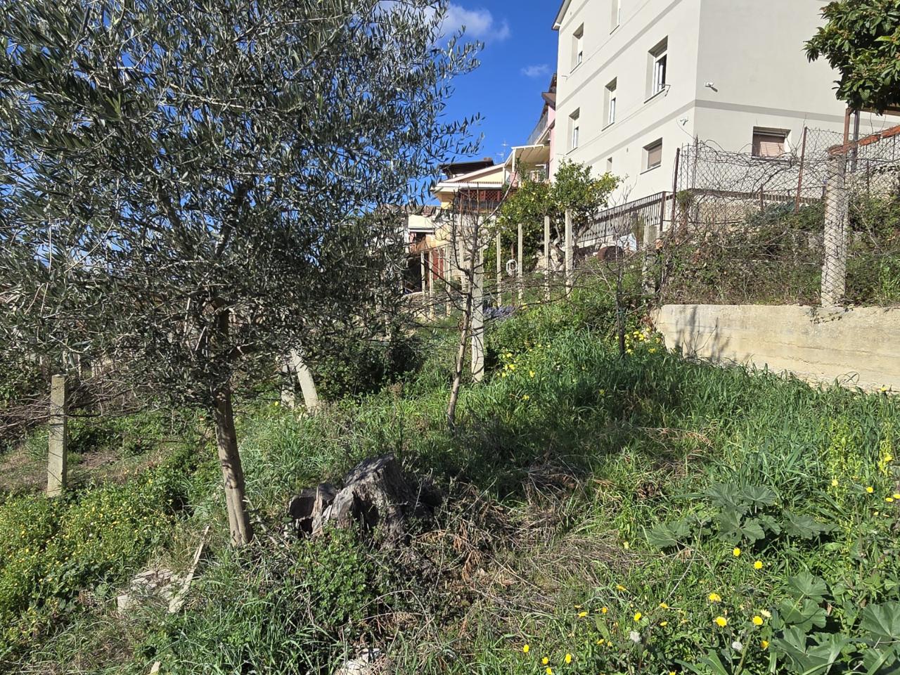 immagine annuncio 7 di 15