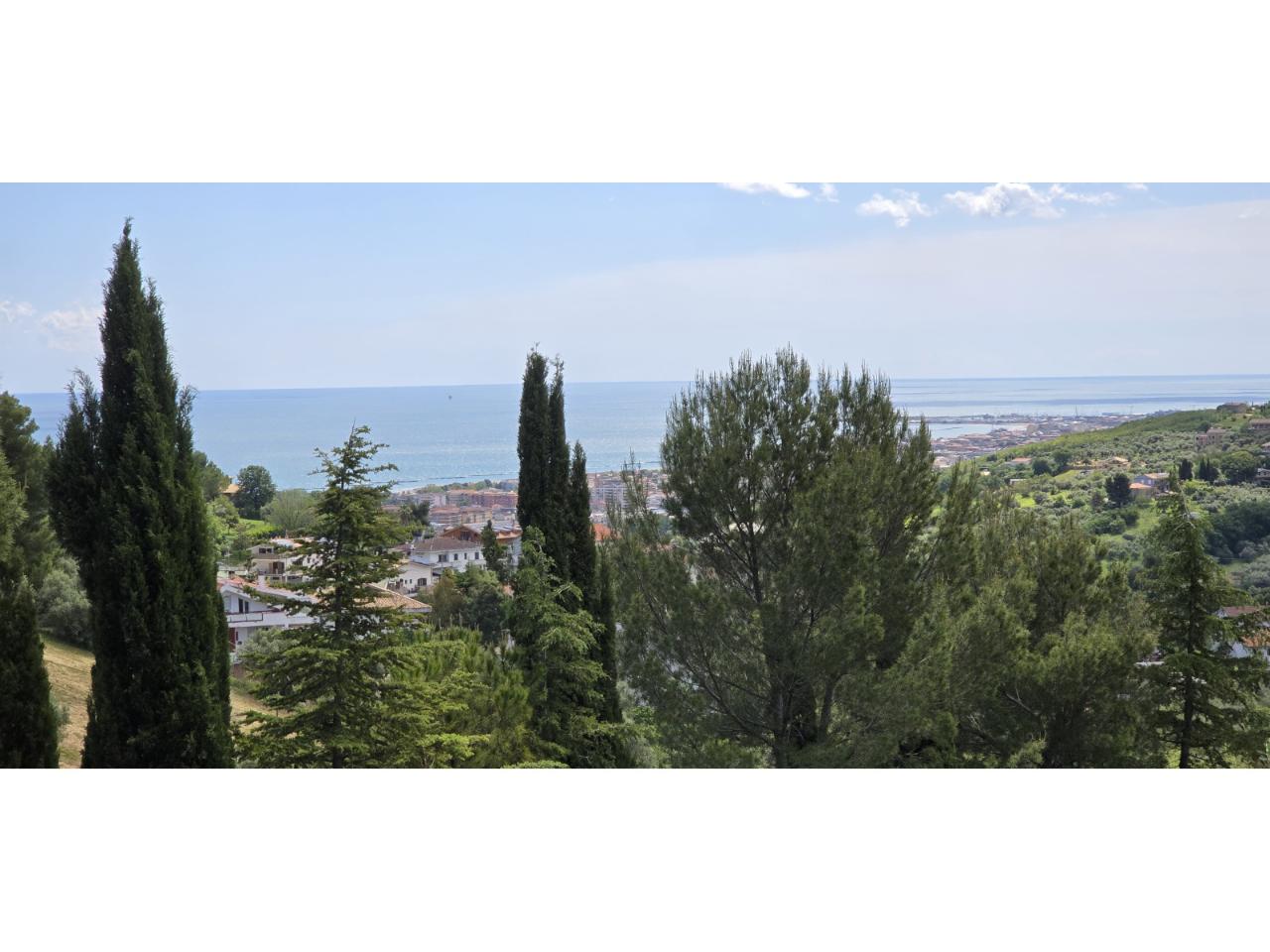 immagine annuncio 9 di 14