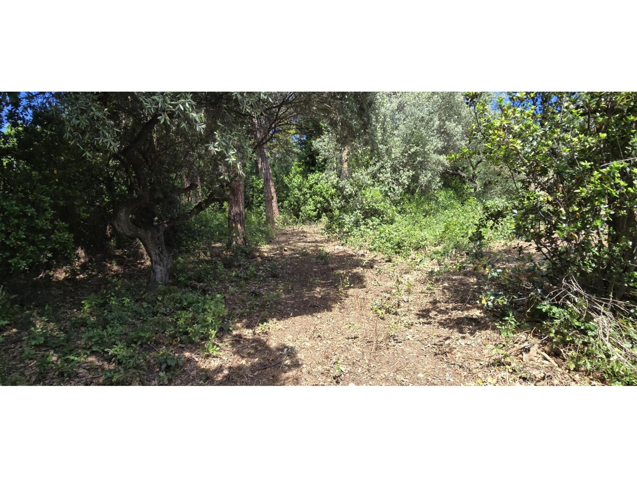 immagine annuncio 13 di 14