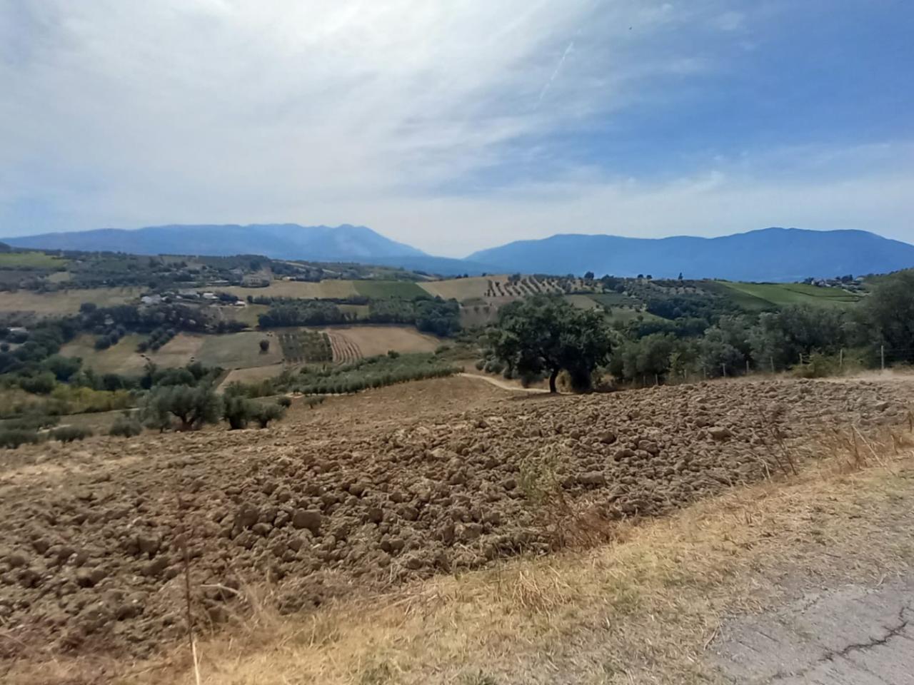 immagine annuncio 8 di 11