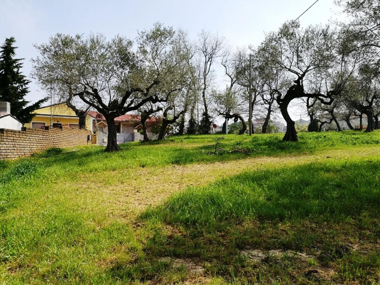 immagine annuncio 5 di 14