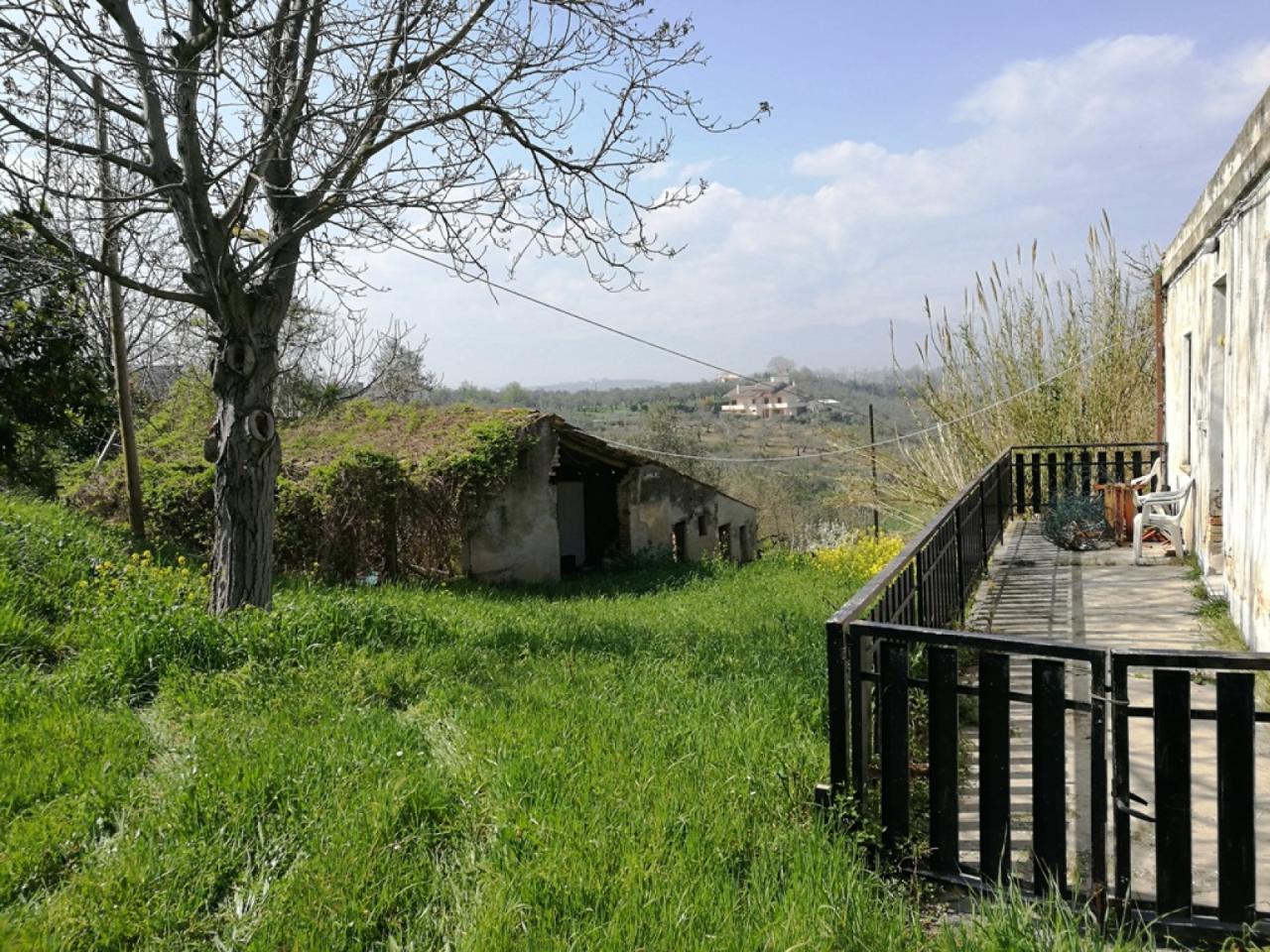 immagine annuncio 11 di 14