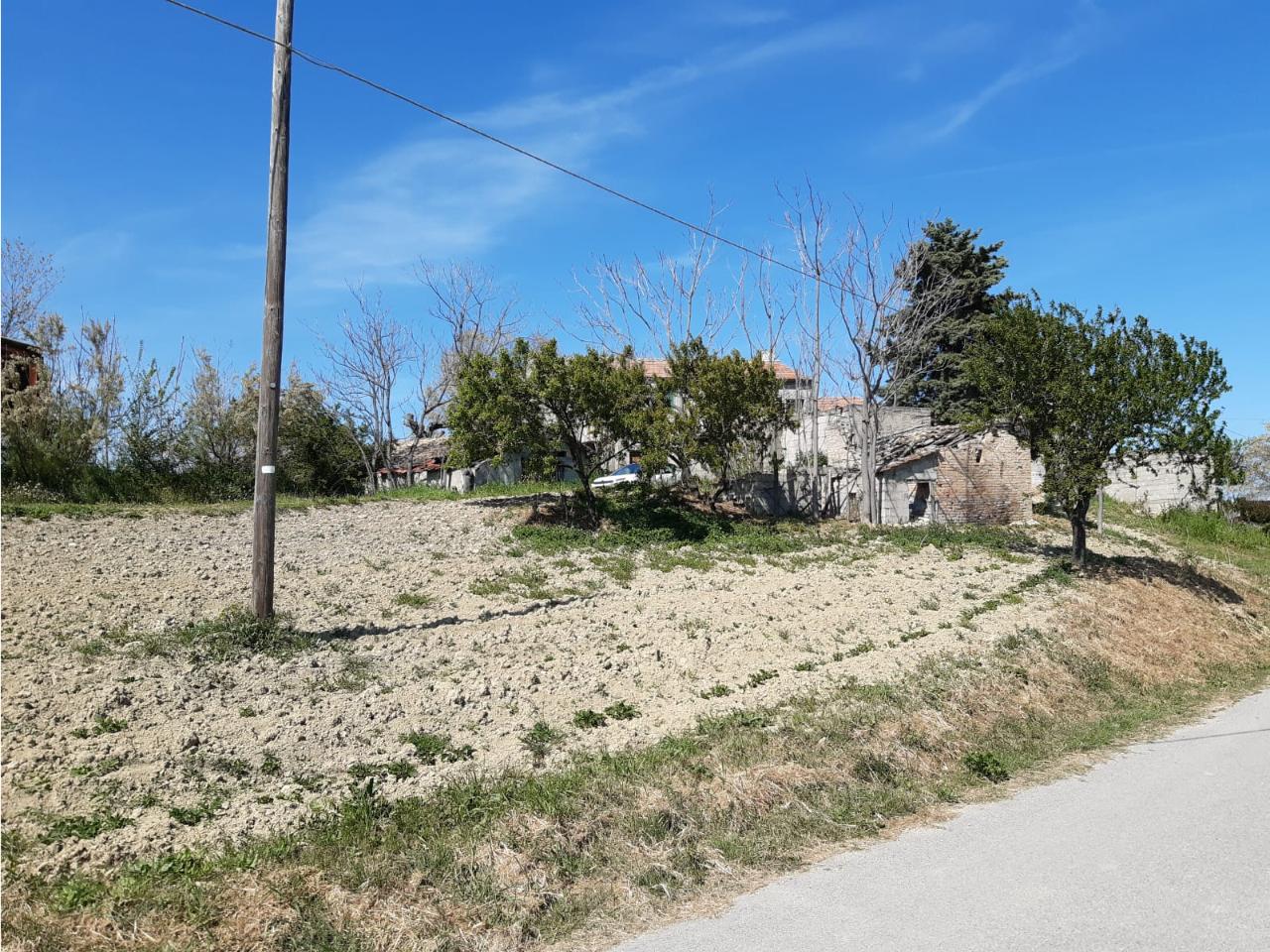 immagine annuncio 5 di 12