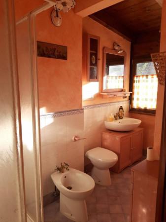 immagine annuncio 5 di 14