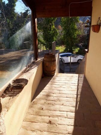 immagine annuncio 4 di 14