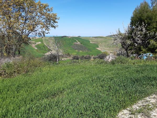 immagine annuncio 3 di 12