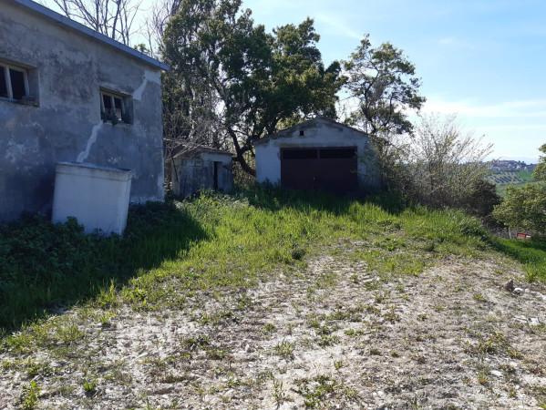 immagine annuncio 4 di 12