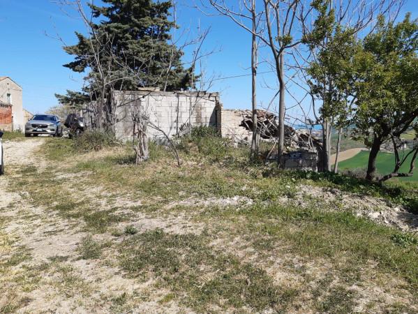 immagine annuncio 8 di 12