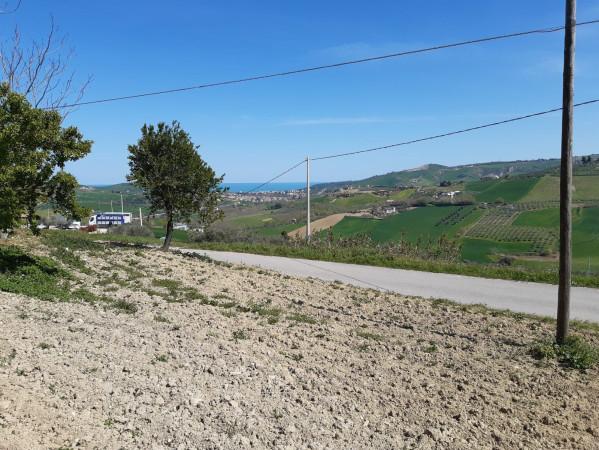 immagine annuncio 11 di 12