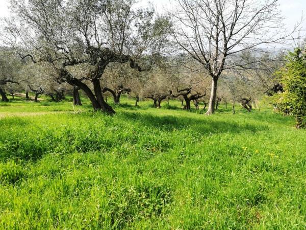 immagine annuncio 8 di 14