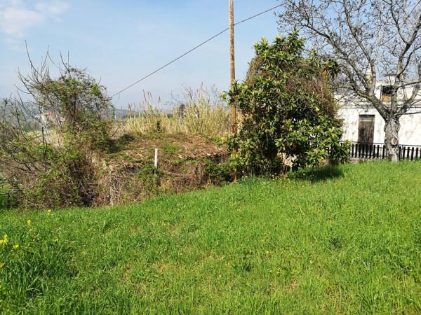 immagine annuncio 7 di 14