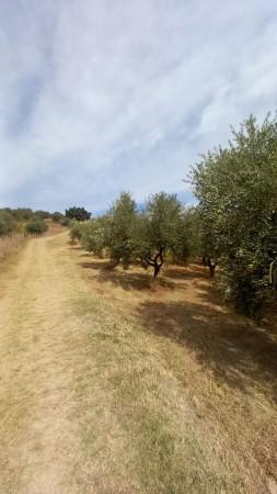 immagine annuncio 6 di 11