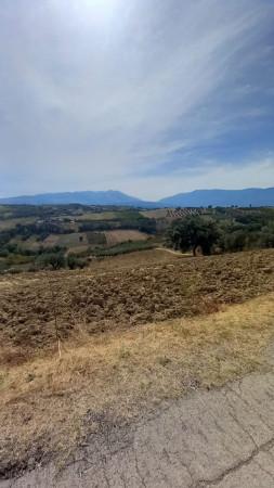 immagine annuncio 7 di 11