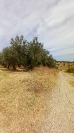 immagine annuncio 9 di 11