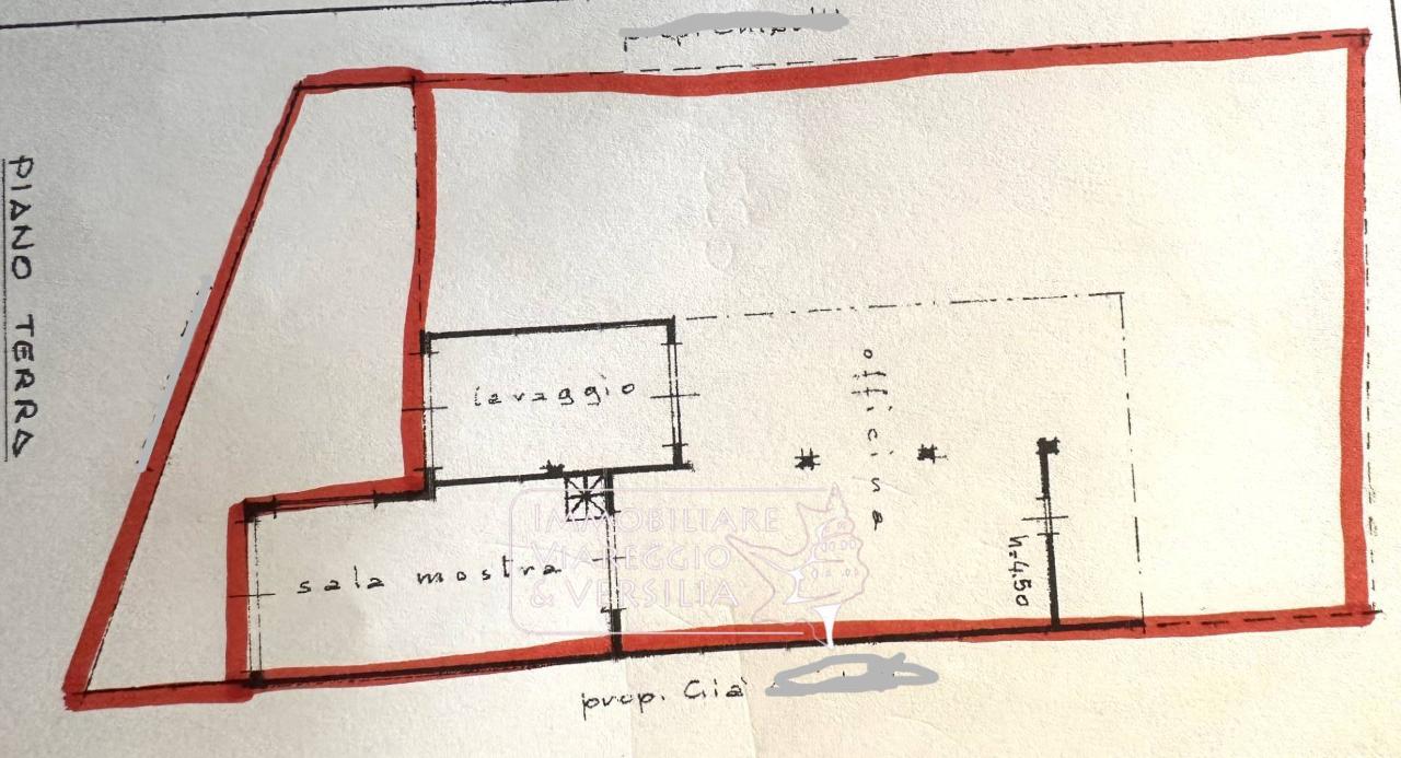 Capannone in Via Aurelia, Viareggio, {3} - Planimetria 1