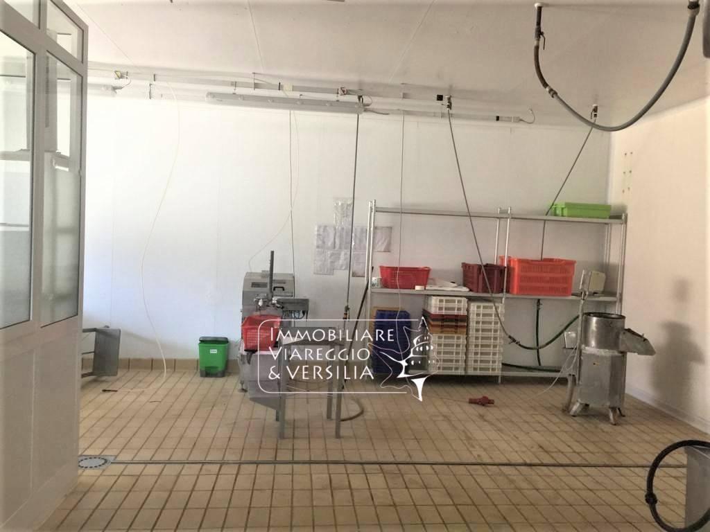 Laboratorio in Via dei Peecchi 100, Viareggio, {3} - Foto 1