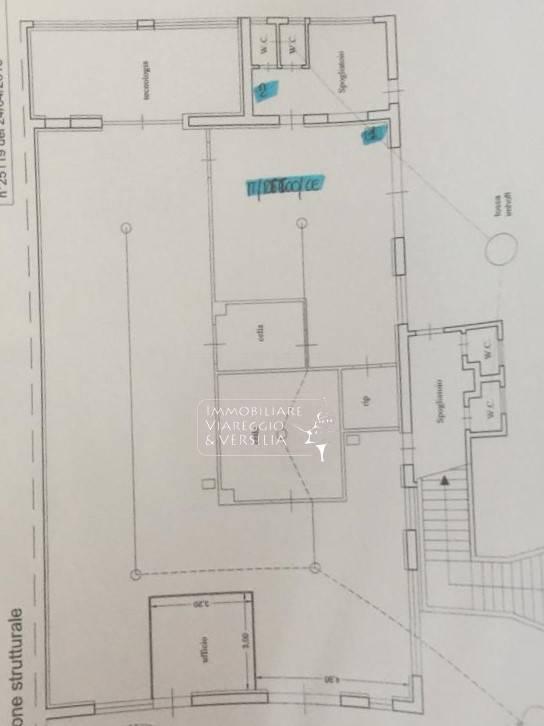 Capannone in Via dei Peecchi 100, Viareggio, {3} - Planimetria 1