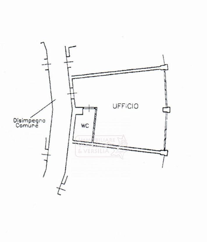 Capannone in Via F. Rosselli 20, Camaiore, {3} - Planimetria 1