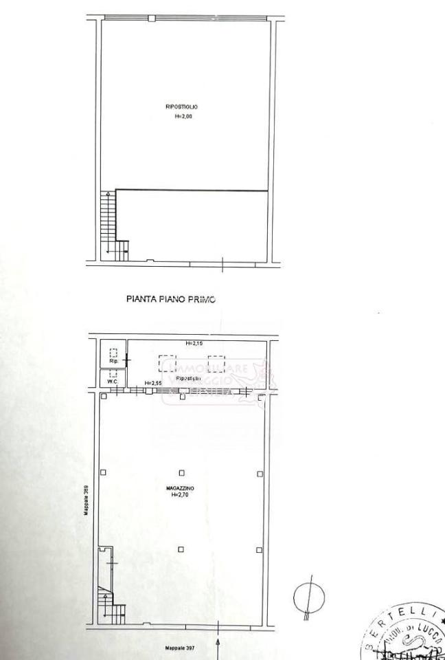 Magazzino in Via dei Peecchi, Viareggio, {3} - Planimetria 1