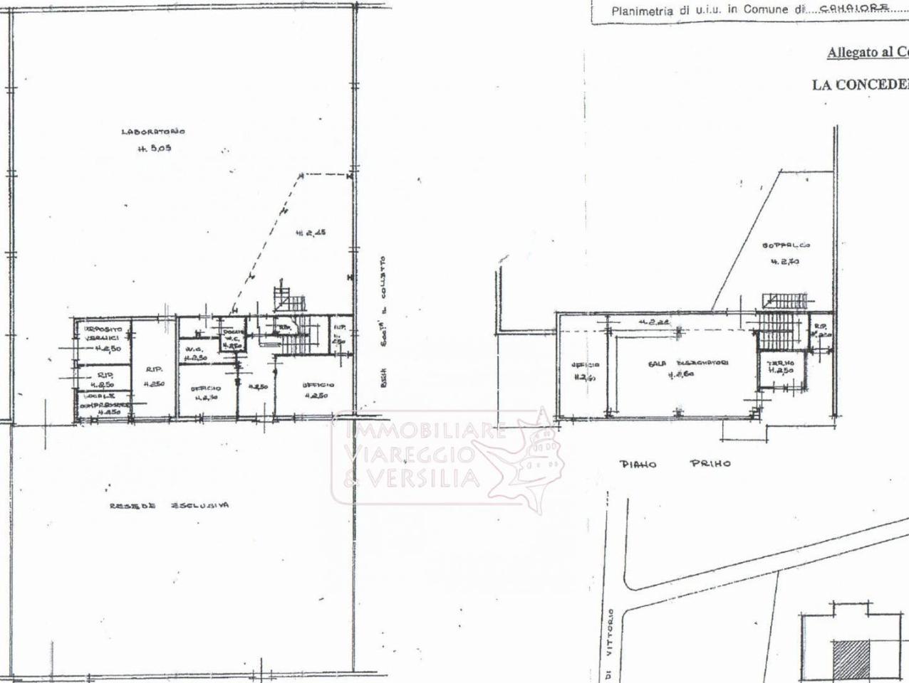 Capannone in Via dei Metalmeccanici, Camaiore, {3} - Planimetria 1