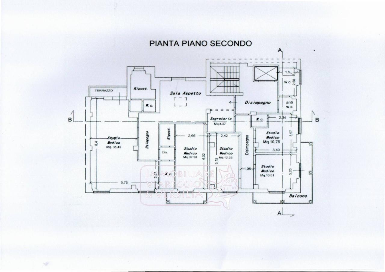 Capannone in Via S. Francesco 70, Viareggio, {3} - Planimetria 1