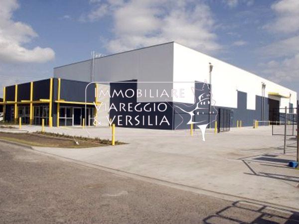 Magazzino in Via dei Metalmeccanici 10, Camaiore, {3} - Foto 1