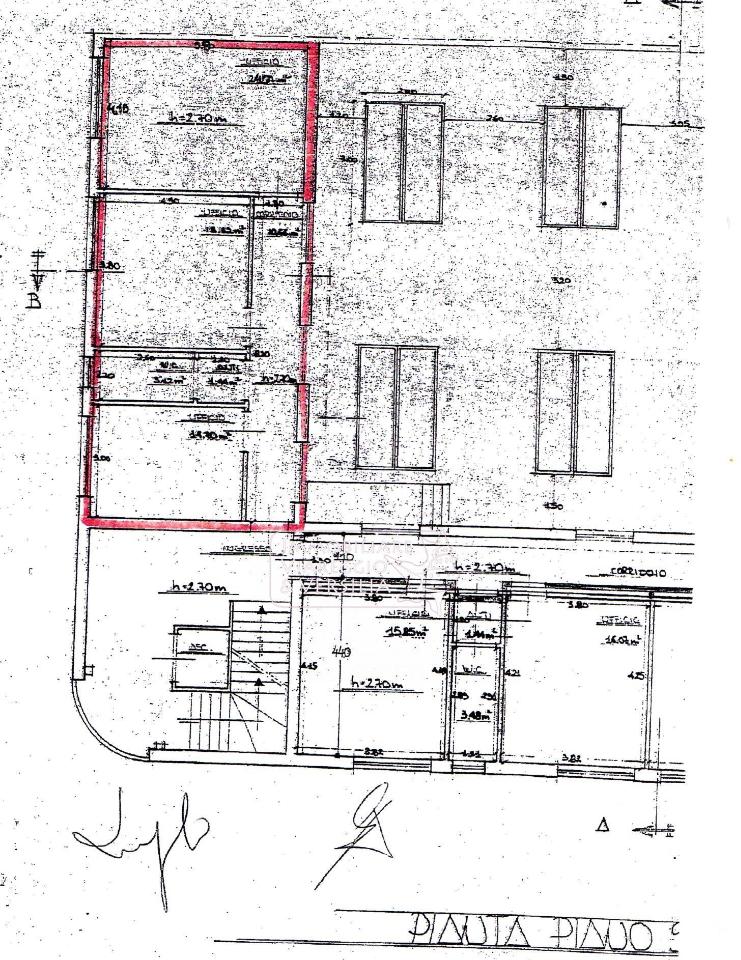 Capannone in Via Coppino 100, Viareggio, {3} - Planimetria 1