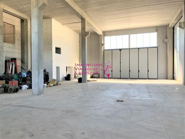 insertion image